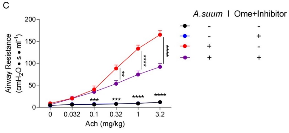 Respiratory system resistance (RRS) was assessed after intravenous injection.jpg